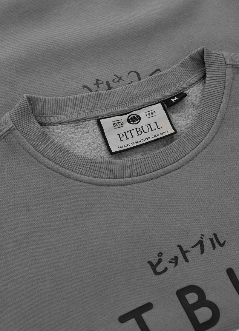 Bluza męska Washed MT FUJI