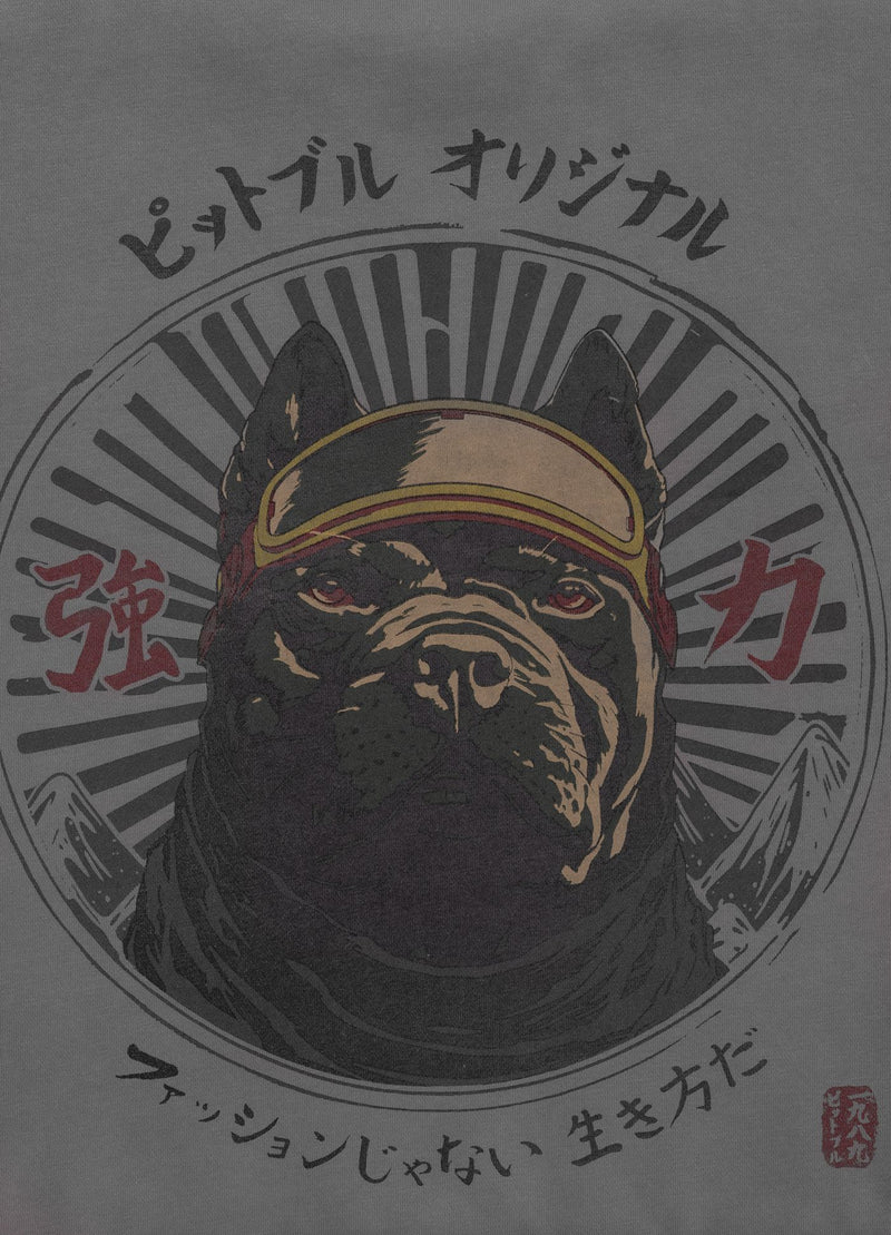 Bluza męska Washed MT FUJI