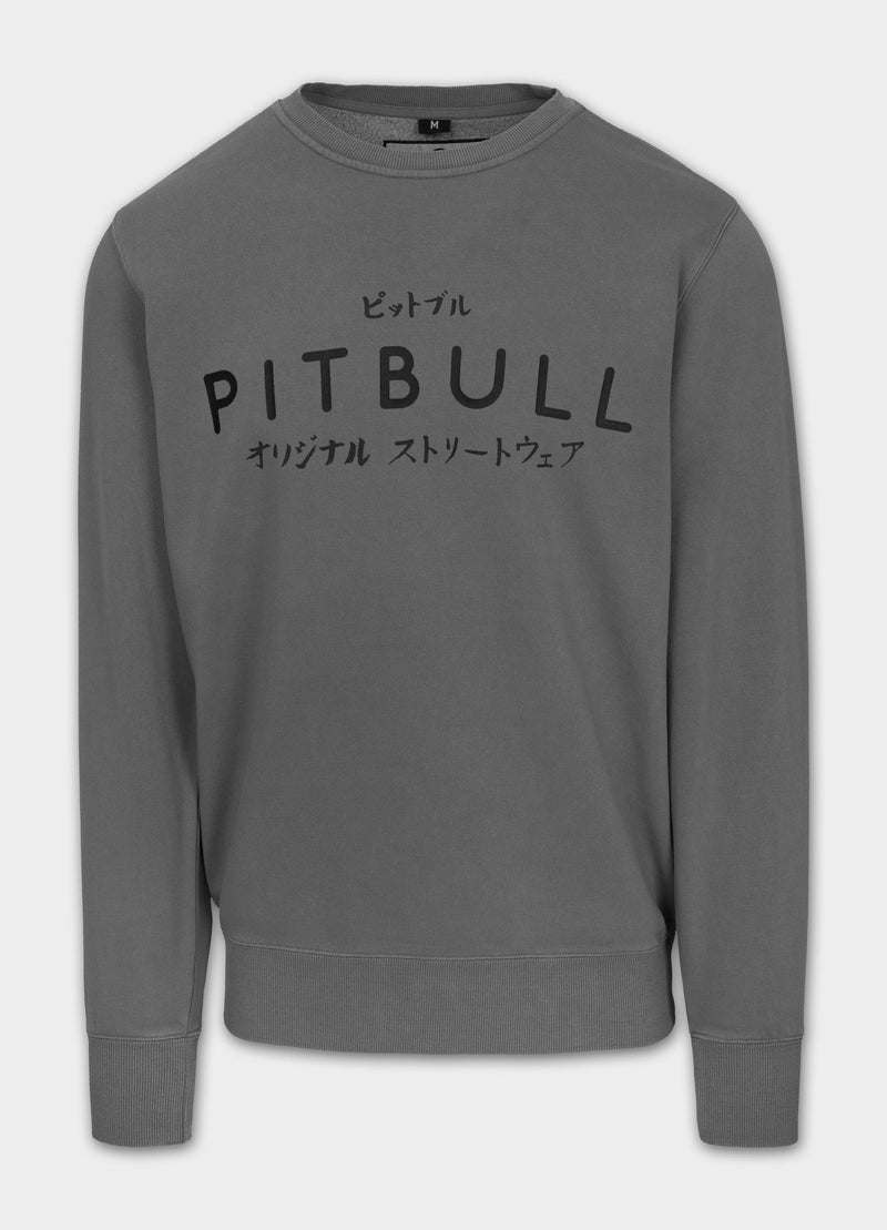 Bluza męska Washed MT FUJI