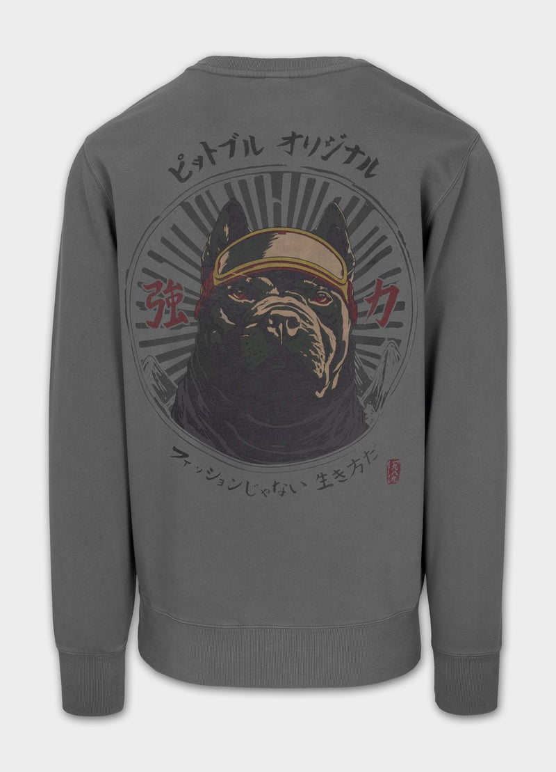 Bluza męska Washed MT FUJI