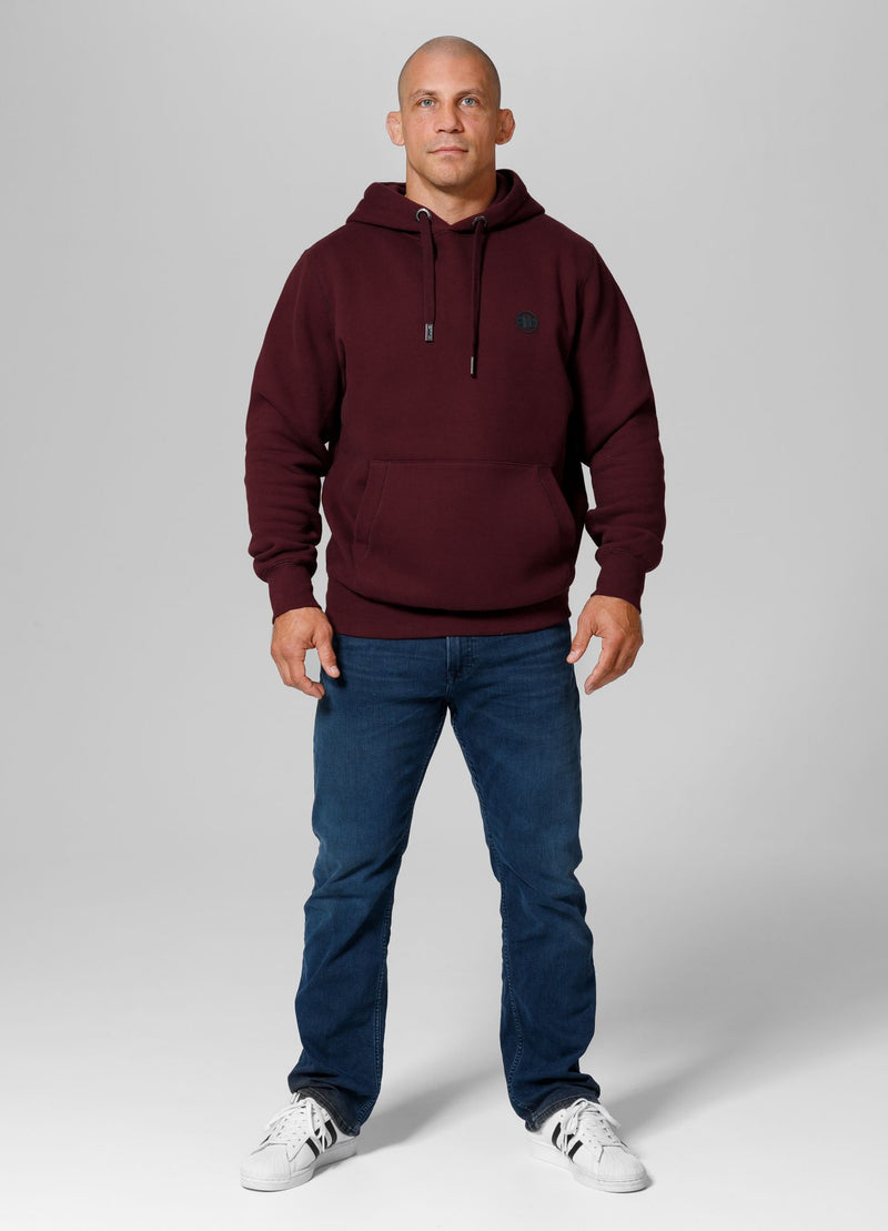 Bluza męska z kapturem Small Logo