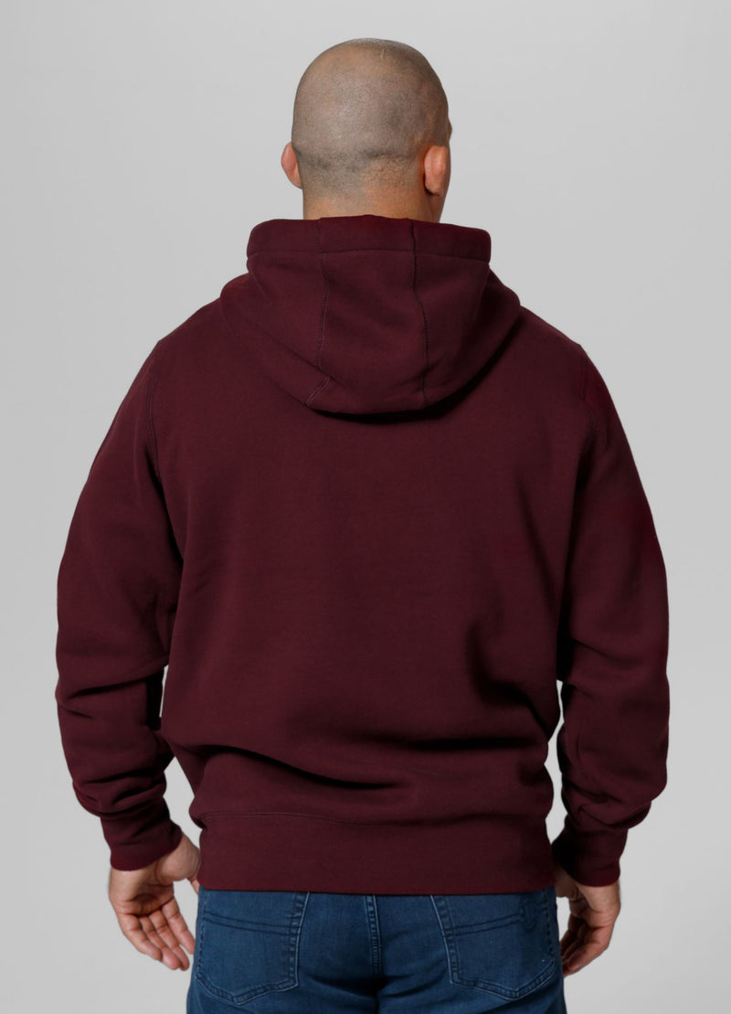 Bluza męska z kapturem Small Logo