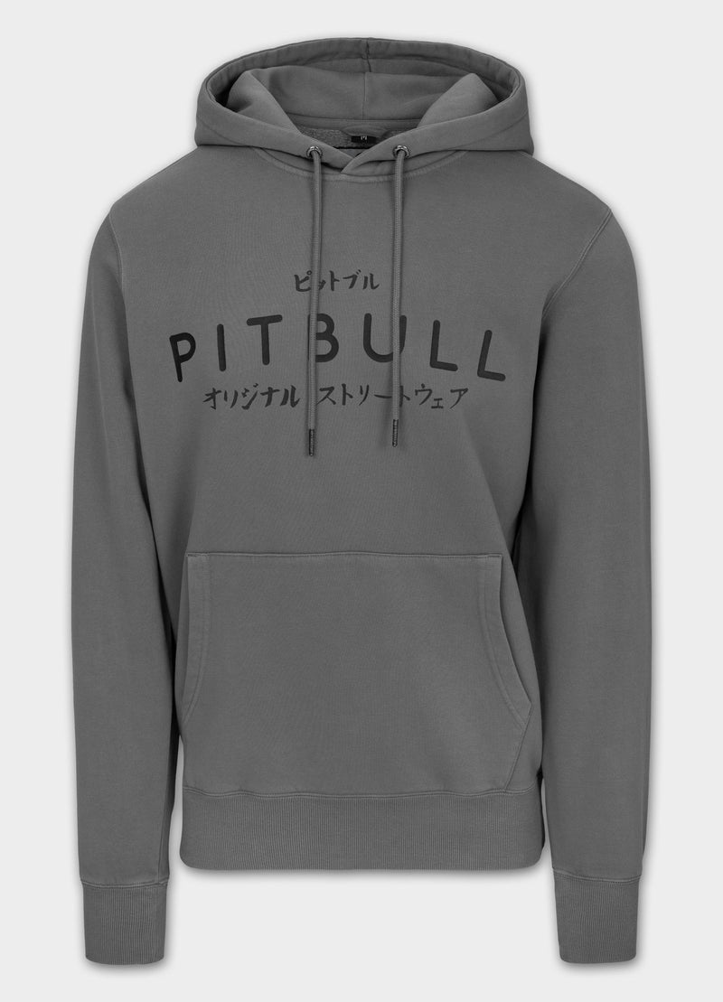 Bluza męska z kapturem Washed MT FUJI