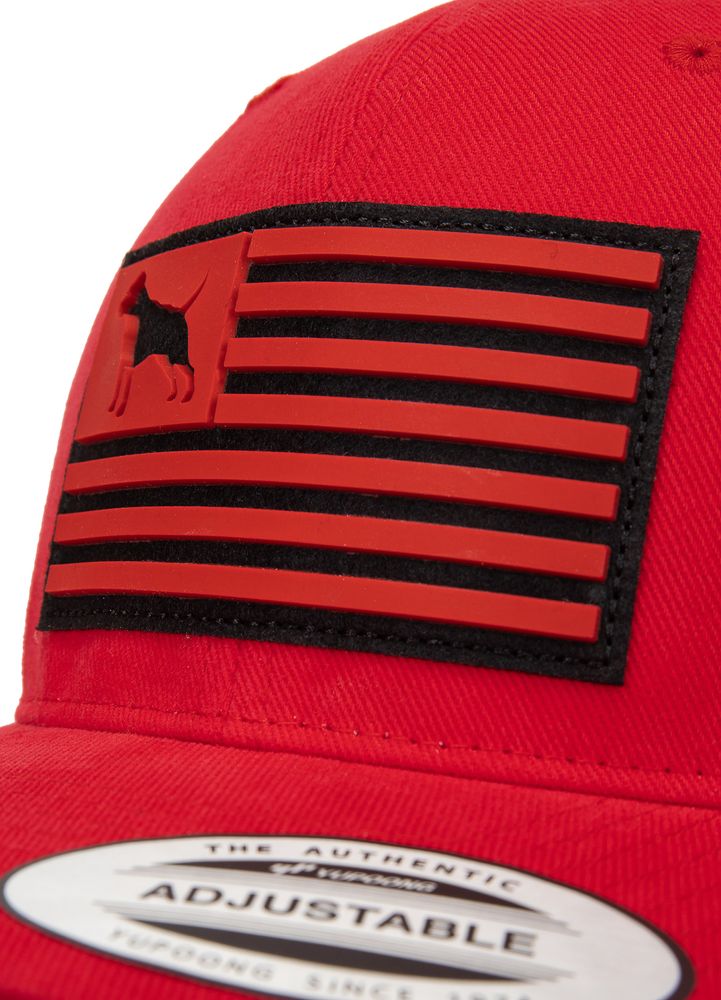 Czapka Snapback Pitbull USA