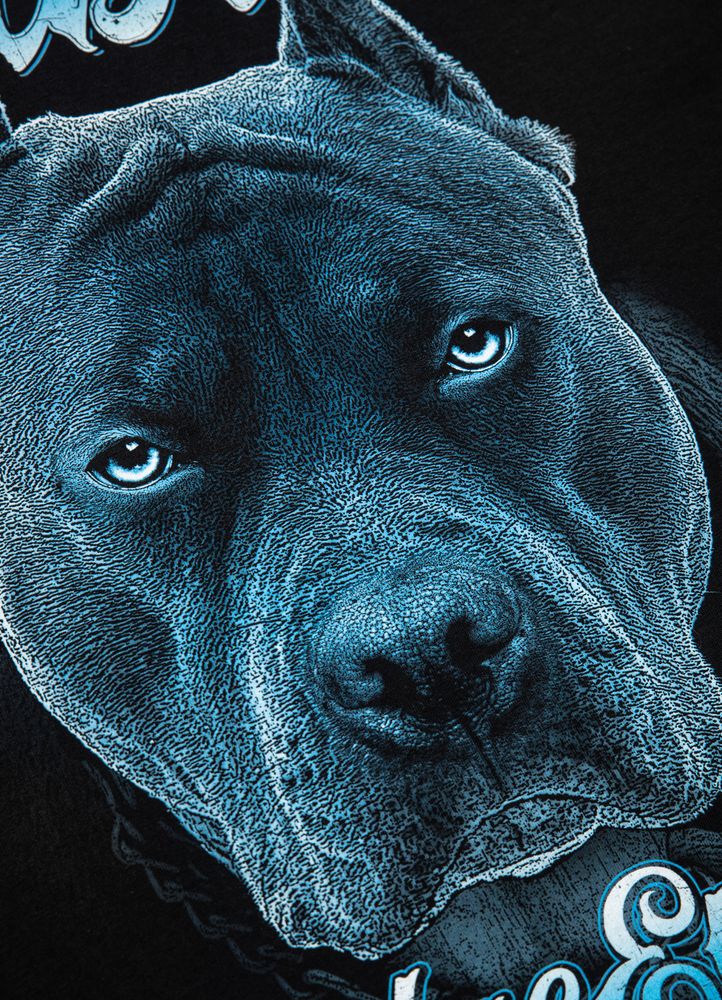 Koszulka Blue Eyed Devil 23