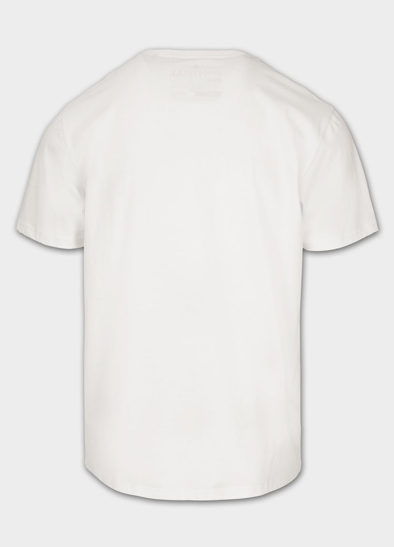 Koszulka męska Garment Washed SMALL LOGO