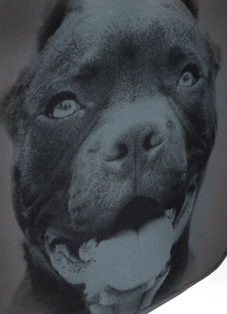 Plecak Pitbull IR